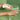 EGF Hand Serum